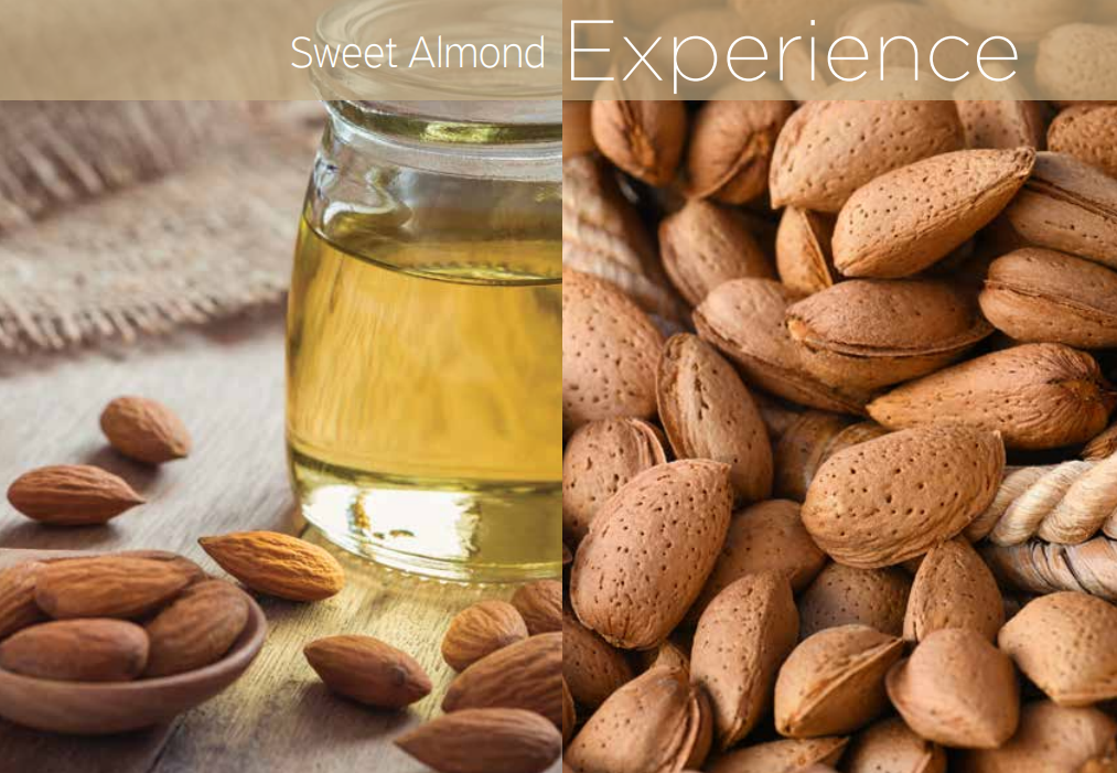 DRY BODY OIL-SWEET ALMOND / 100 mL (3.38 fl. oz.)